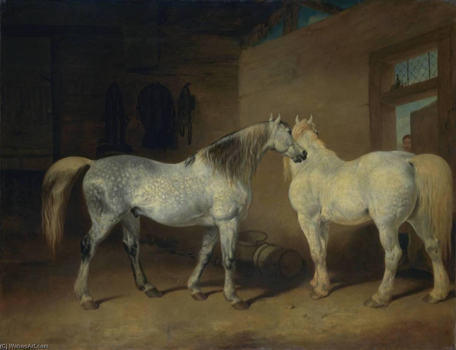 Draught Horses — Abraham Cooper