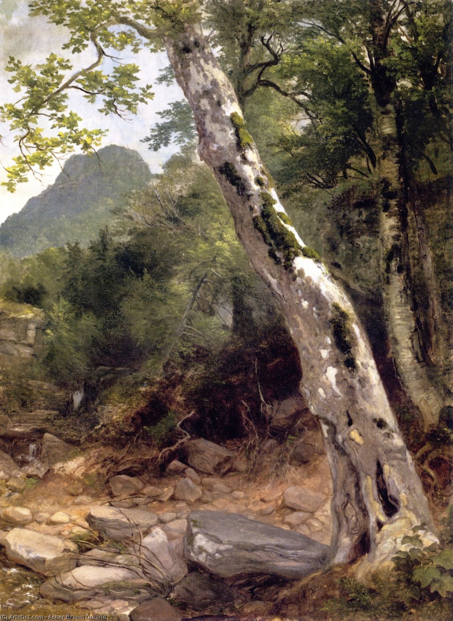 A Sycamore Tree, Plaaterkill Clove (also Known As The Sycamore, Kaaterskill Clove) — Asher Brown Durand