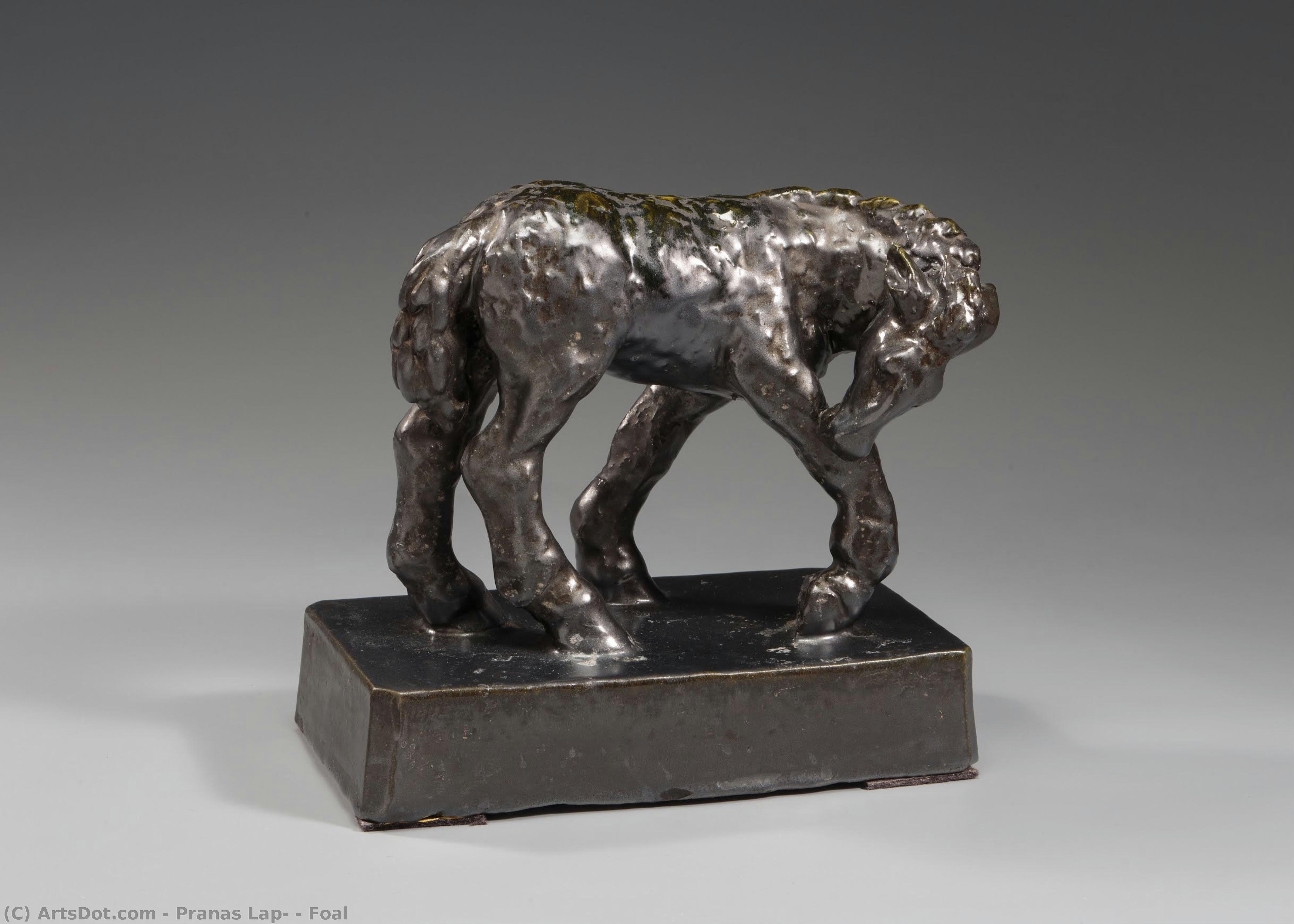 Foal — Pranas Lapė