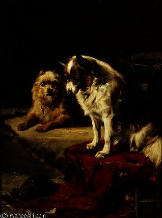 Dogs And A Tortoise — Charles Van Den Eycken