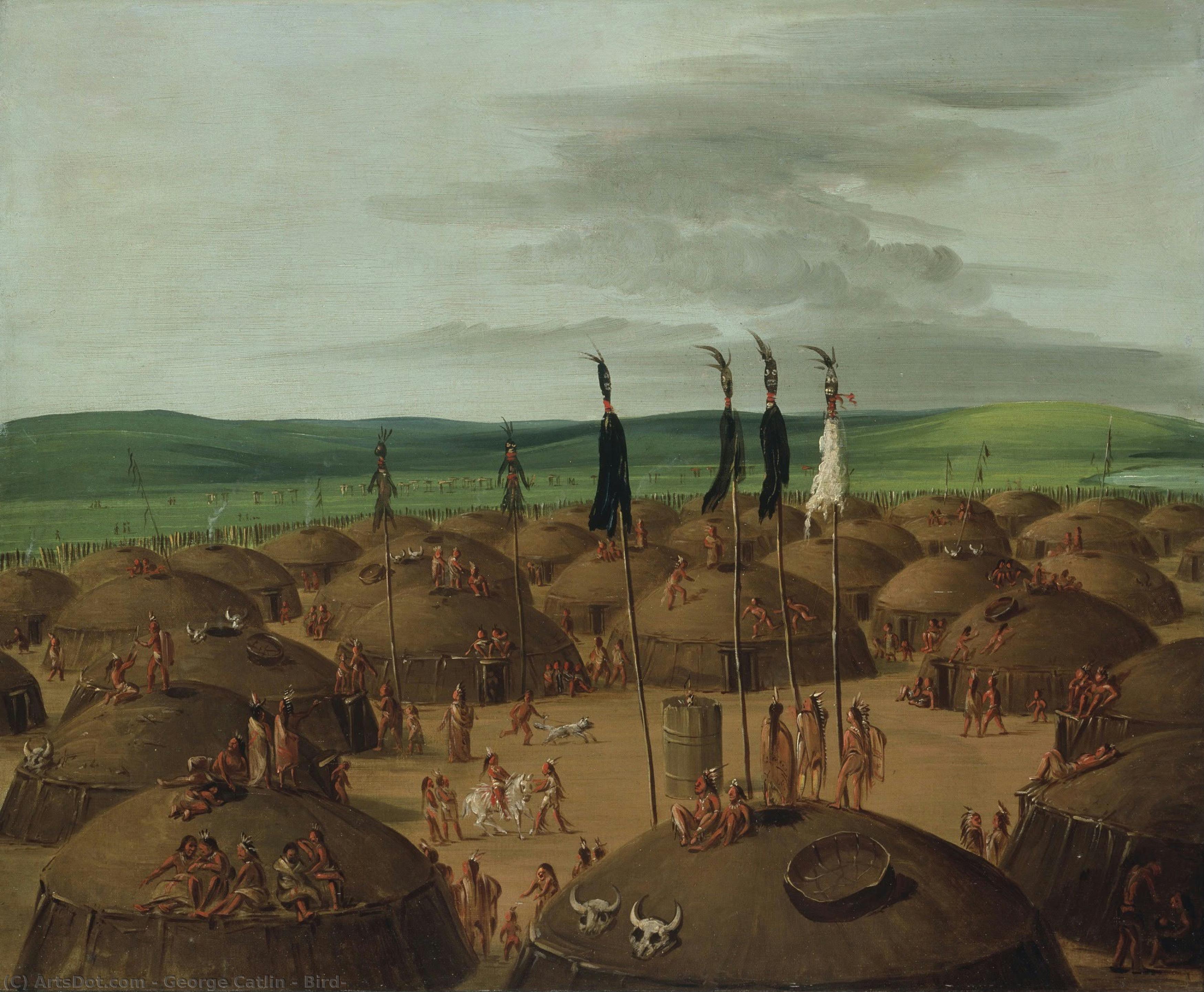 Bird — George Catlin