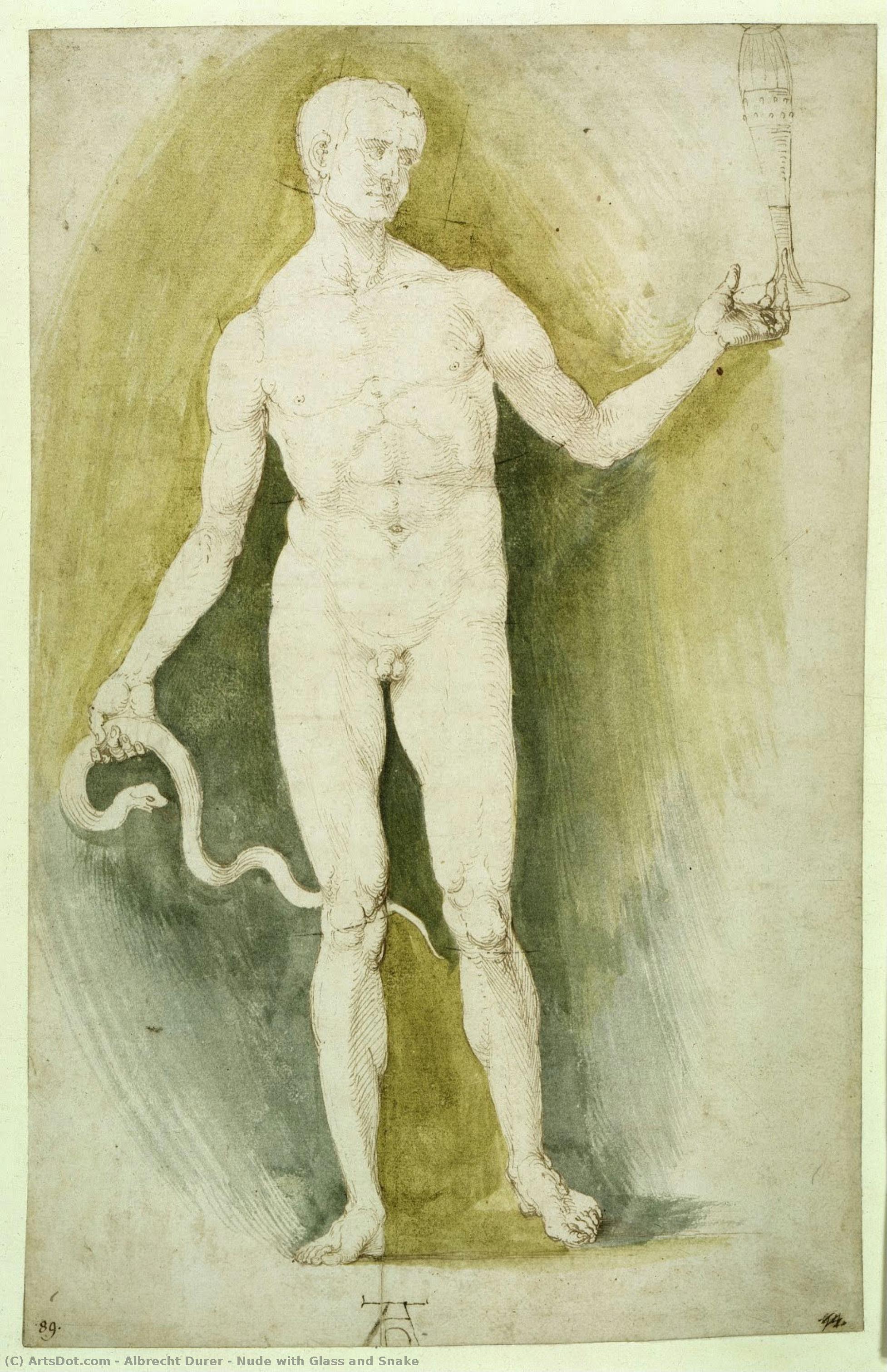 Nude With Glass And Snake — Albrecht Dürer