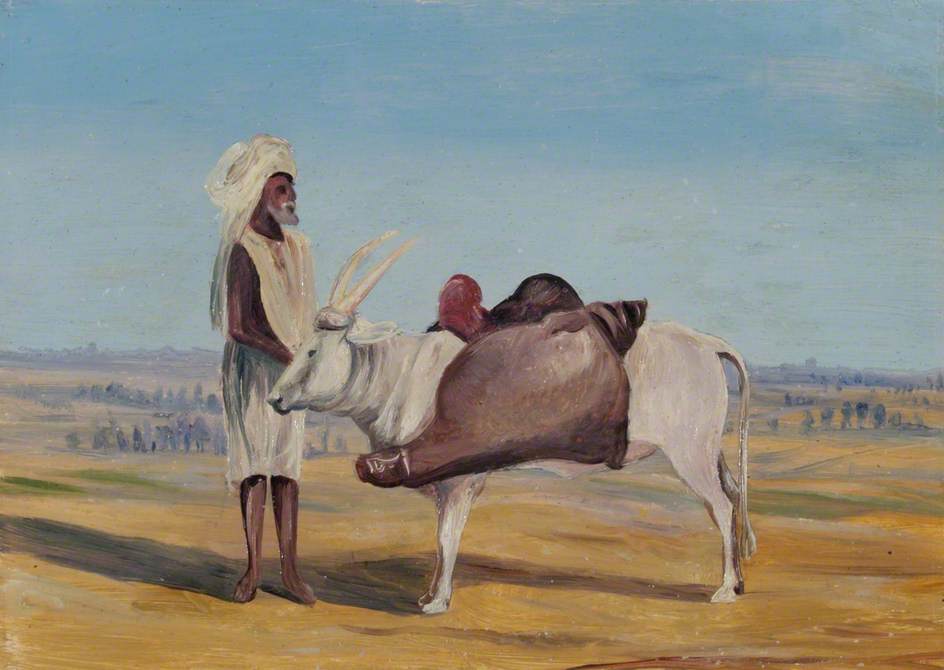 Water Carrier, India — Marianne North