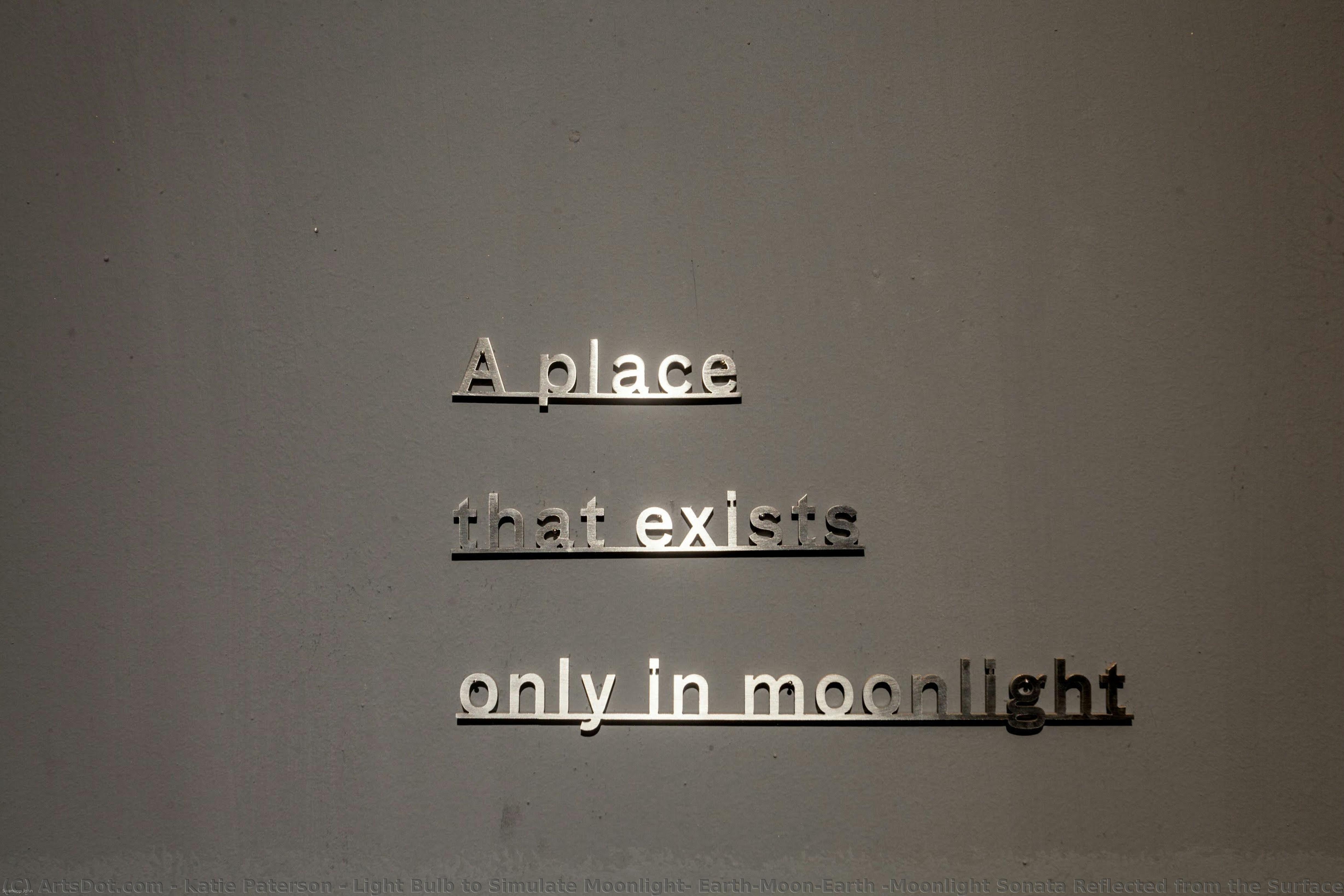 Light Bulb To Simulate Moonlight, Earth-moon-earth (moonlight Sonata Reflected From The Surface Of The Moon) And Ideas (a Place That Extists Only In Moonlight) — Katie Paterson