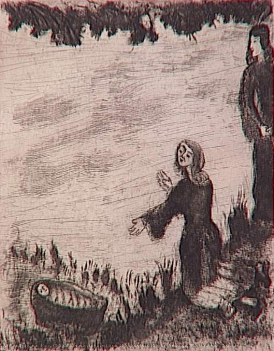Moses Is Saved From The Waters Of Nile By Pharaoh's Daughter (exodus Ii, 5 6) — Marc Chagall