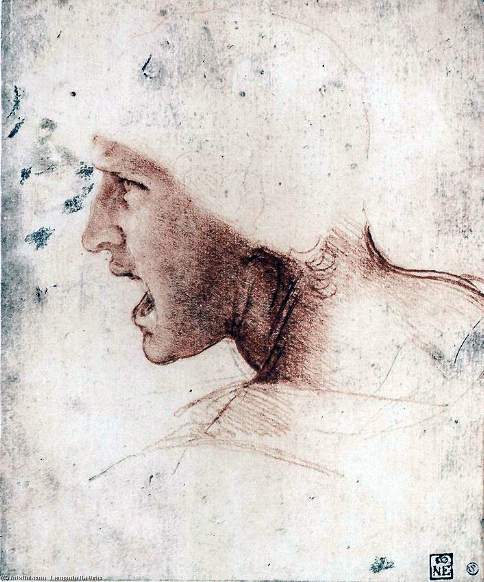 Head Of A Warrior ('the Red Head') — Leonardo Da Vinci
