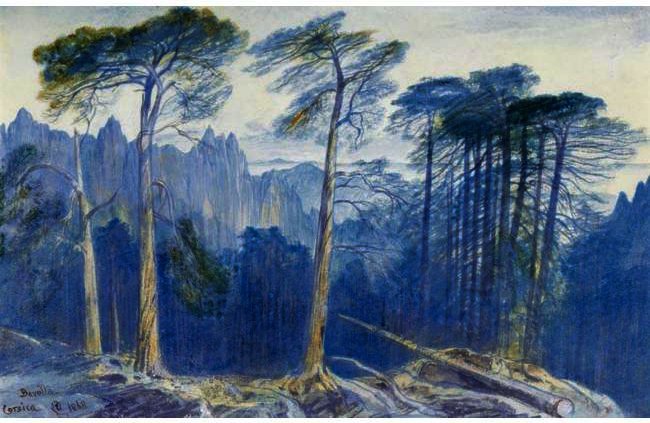 The Pine Forest Of Bavella, Corsica — Edward Lear