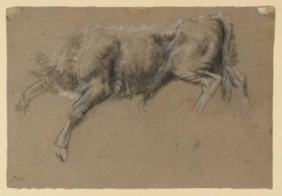 A Calf — James Ward