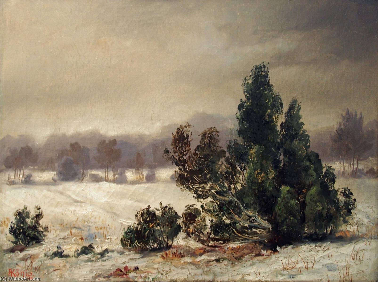 Deutsch Wacholder Im Schnee — Albert Koenig