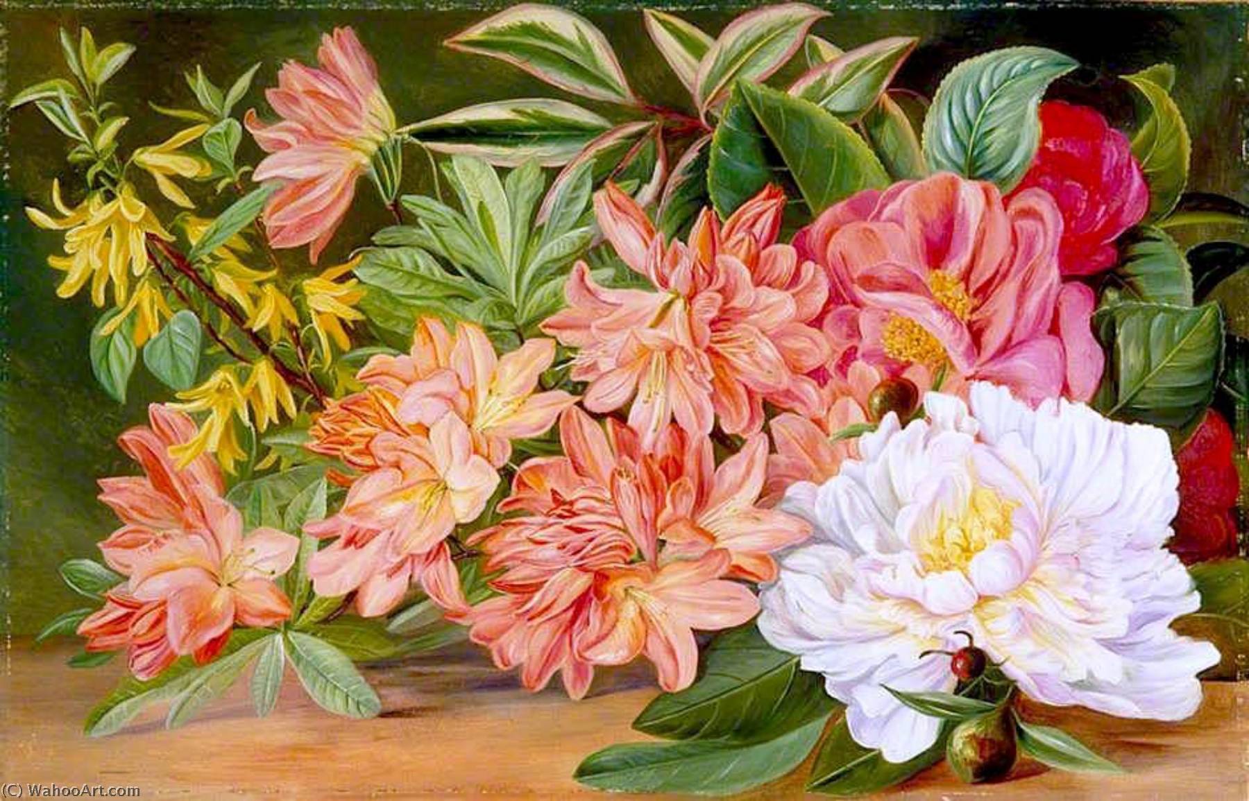 Japanese Flowers — Marianne North