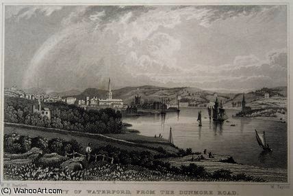 View Of Waterford From The Dunmore Road — William Henry Bartlett