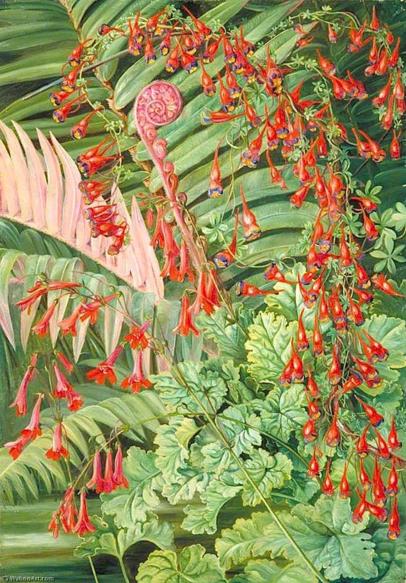Fern And Flowers Bordering The River At Chanleon, Chili — Marianne North