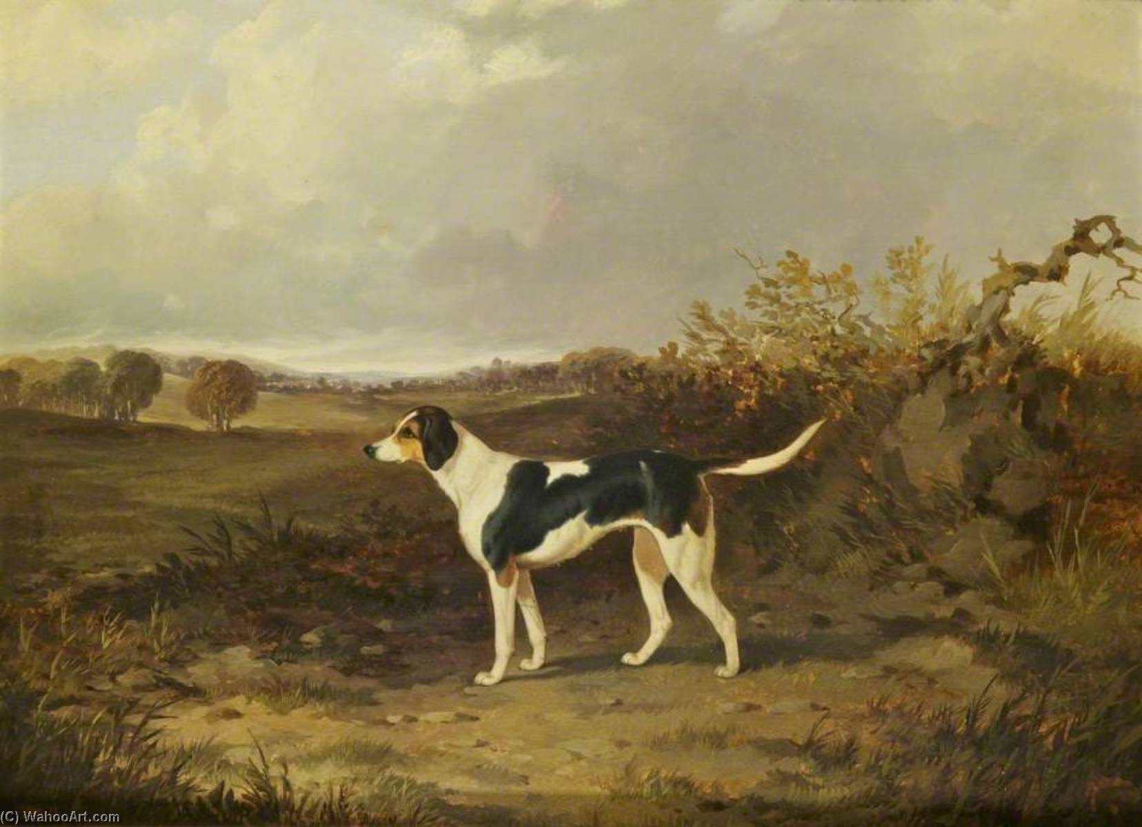 Foxhound In A Landscape (facing To The Left) — John Dalby