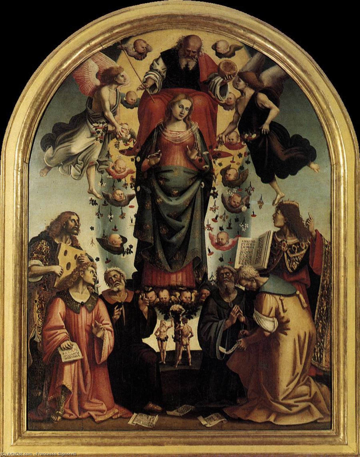 Immaculate Conception — Francesco Signorelli