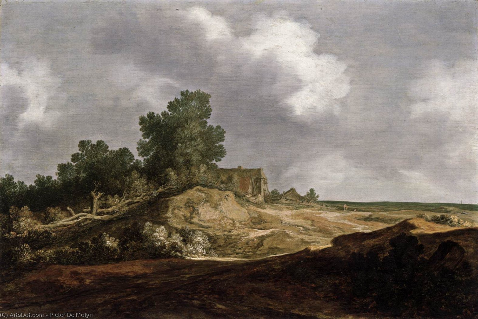 Landscape With A Cottage — Pieter De Molyn