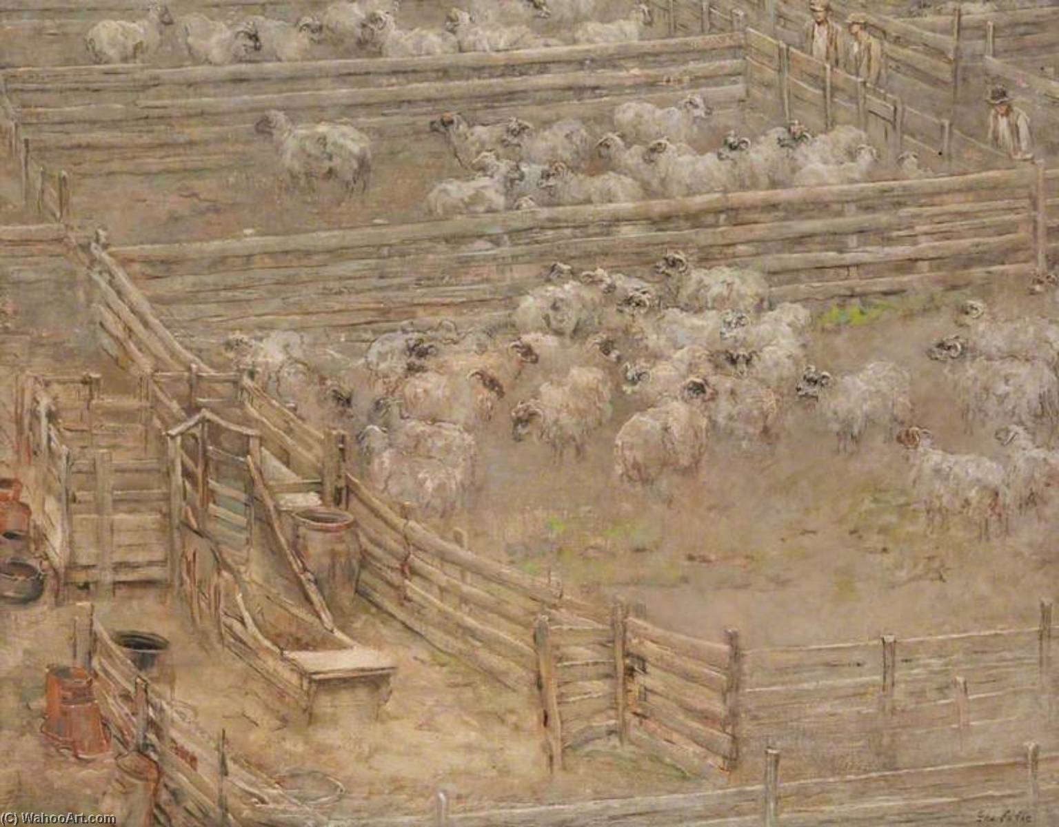Sheep Fanks — George Pirie