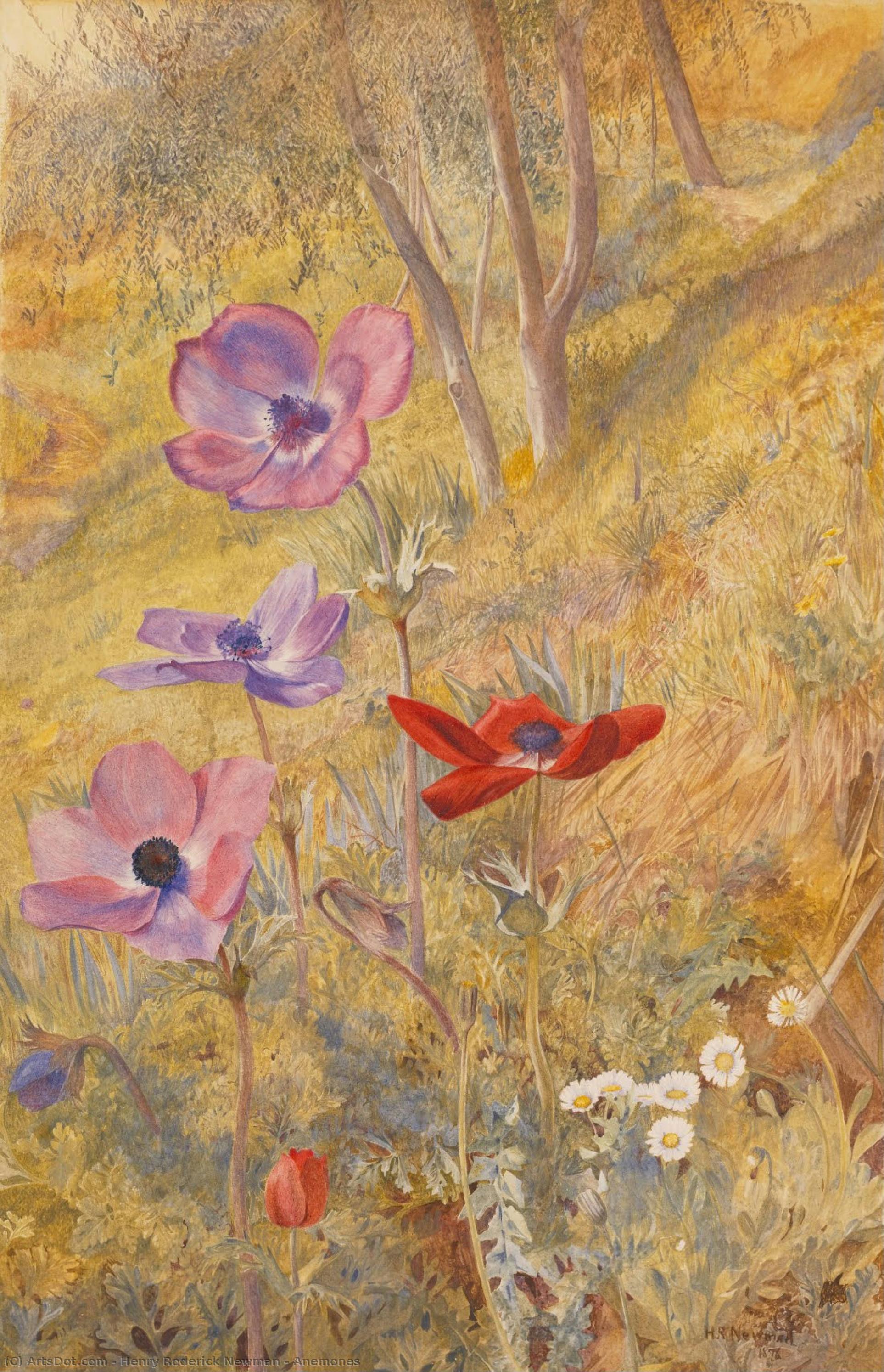 Anemones — Henry Roderick Newman