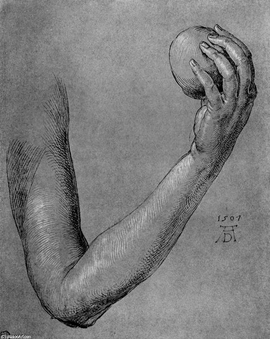 Arm Of Eve — Albrecht Dürer
