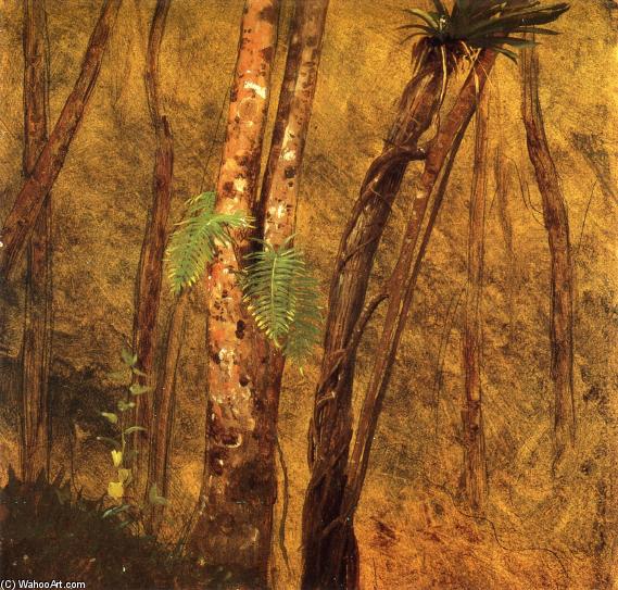 Plant Study, Jamaica, West Indies — Frederic Edwin Church