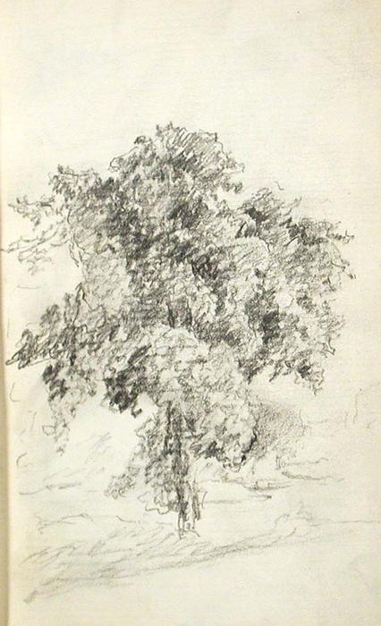 Tree 6 — John Ottis Adams