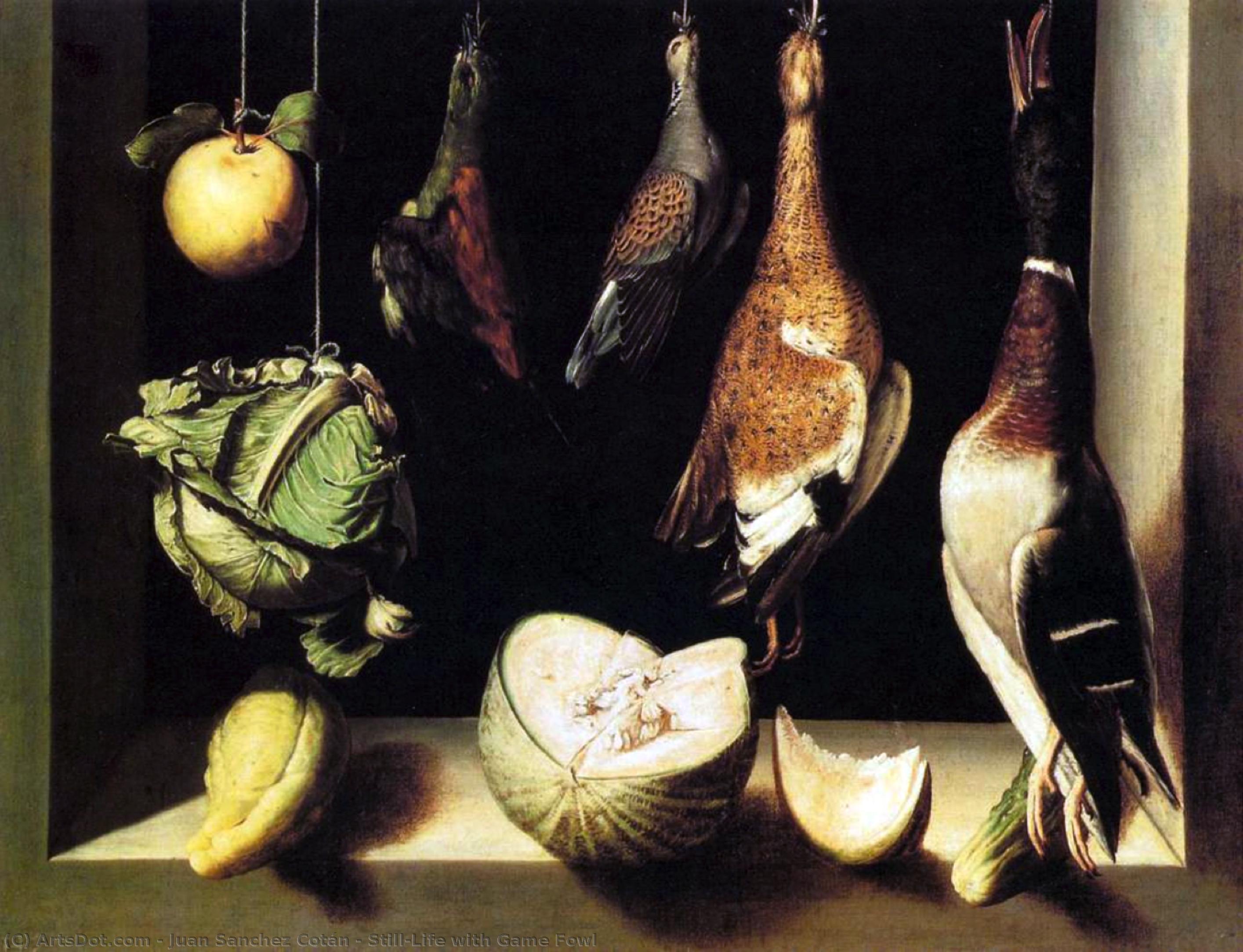 Still-life With Game Fowl — Juan Sanchez Cotan