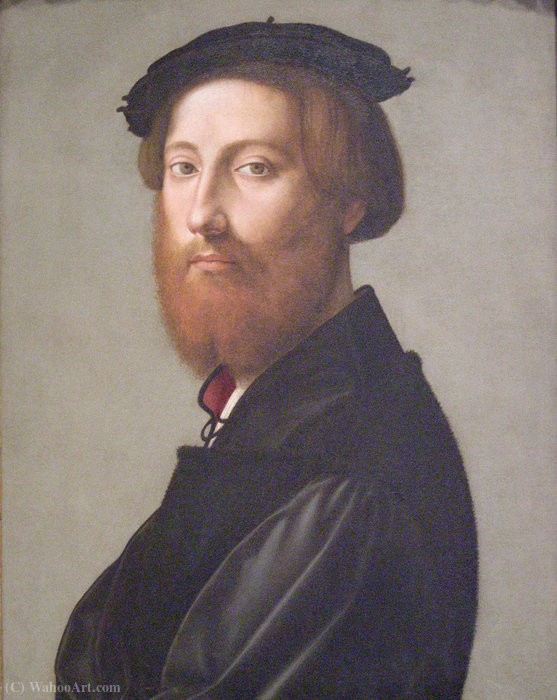 Portrait Of Leonardo De' Ginori — Giuliano Bugiardini