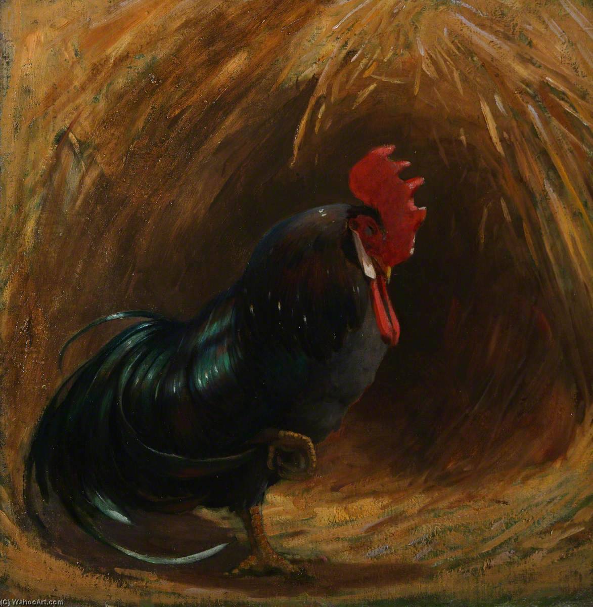 Sleepy Cockerel — Lindsay Grandison Macarthur