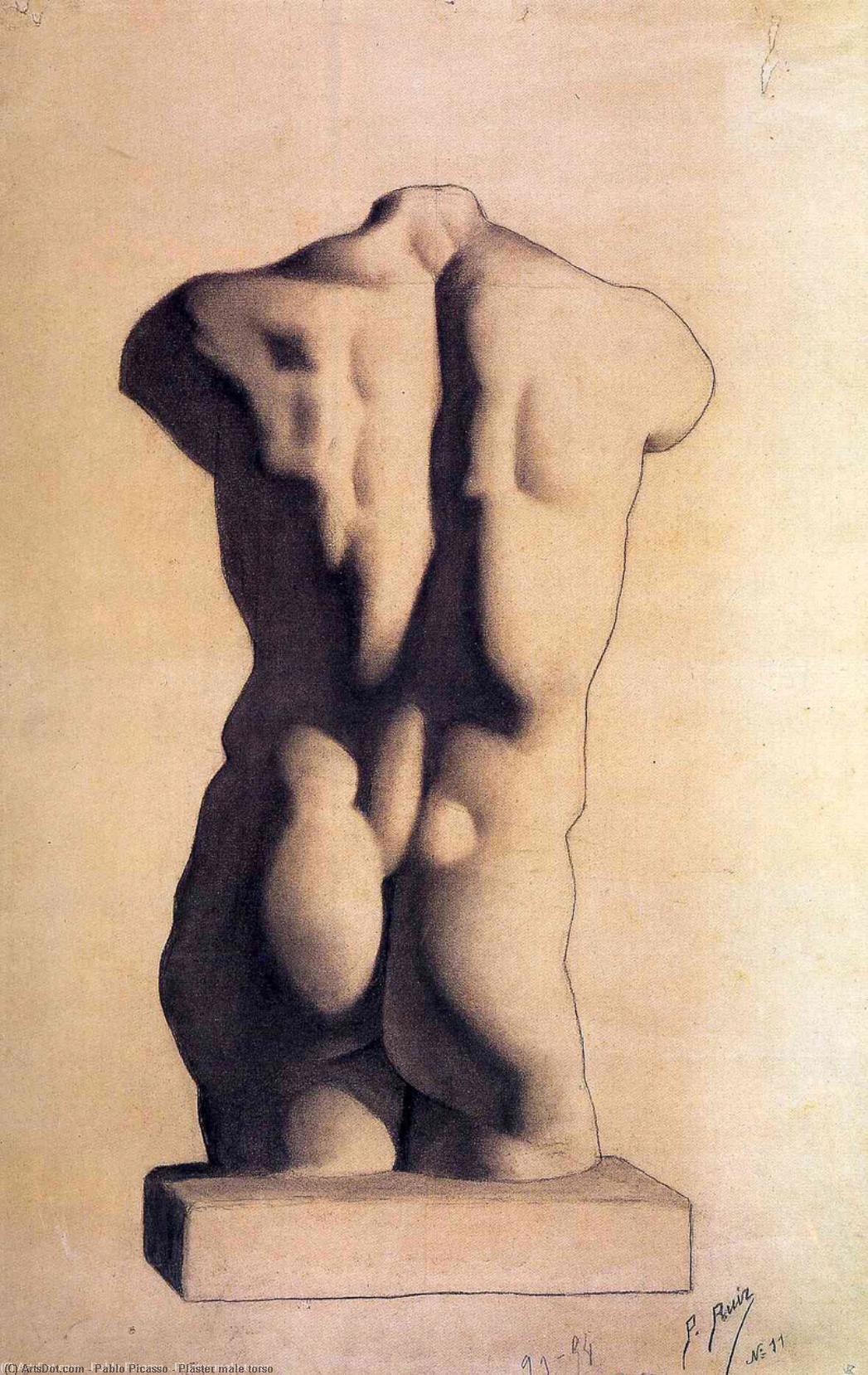 Plaster Male Torso — Pablo Picasso