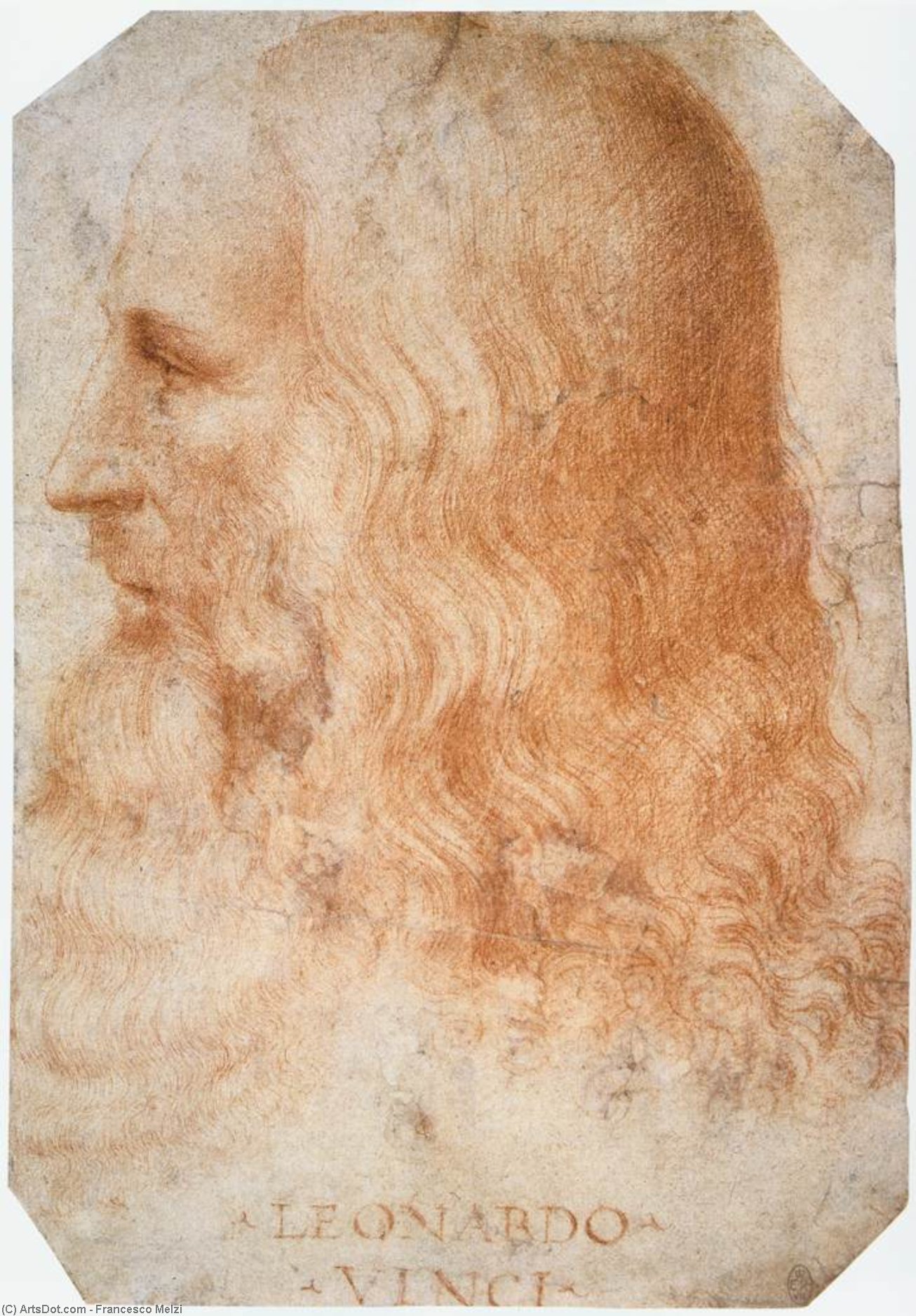 Portrait Of Leonardo — Francesco Melzi