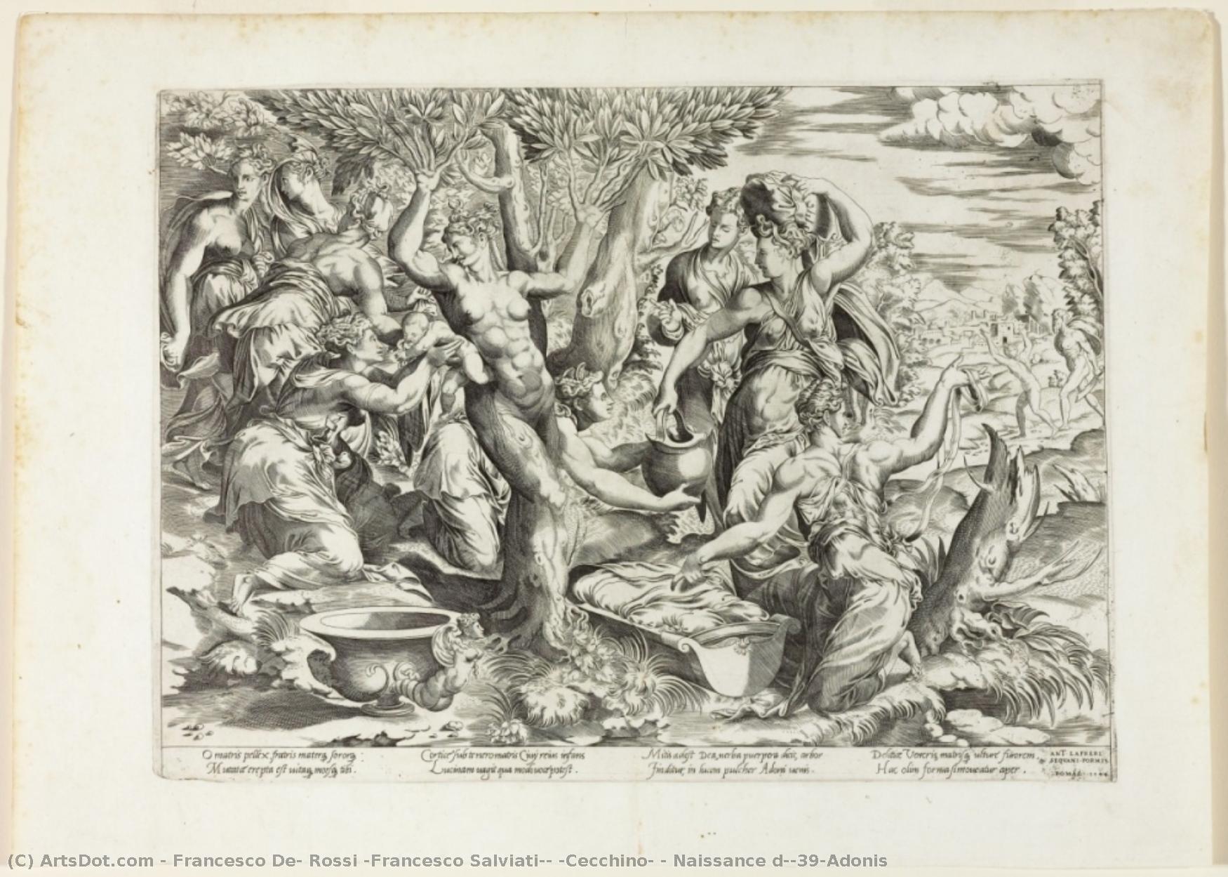 Naissance D'adonis — Francesco De Rossi (francesco Salviati) (cecchino)