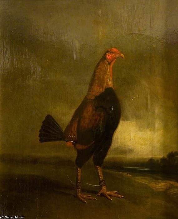 Fighting Cock In A Landscape — Henry Thomas Alken