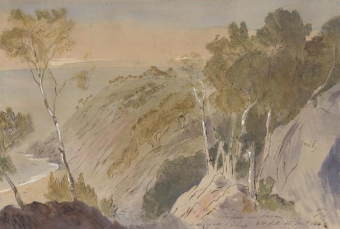 View Of A Pine Forest Near Invrea, Italy — Edward Lear
