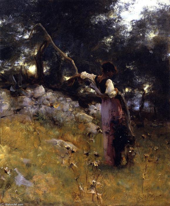 Dan Les Oliviers À Capri — John Singer Sargent