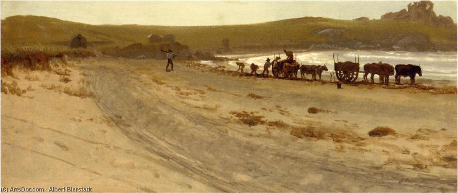 Seaweed Harvesting — Albert Bierstadt