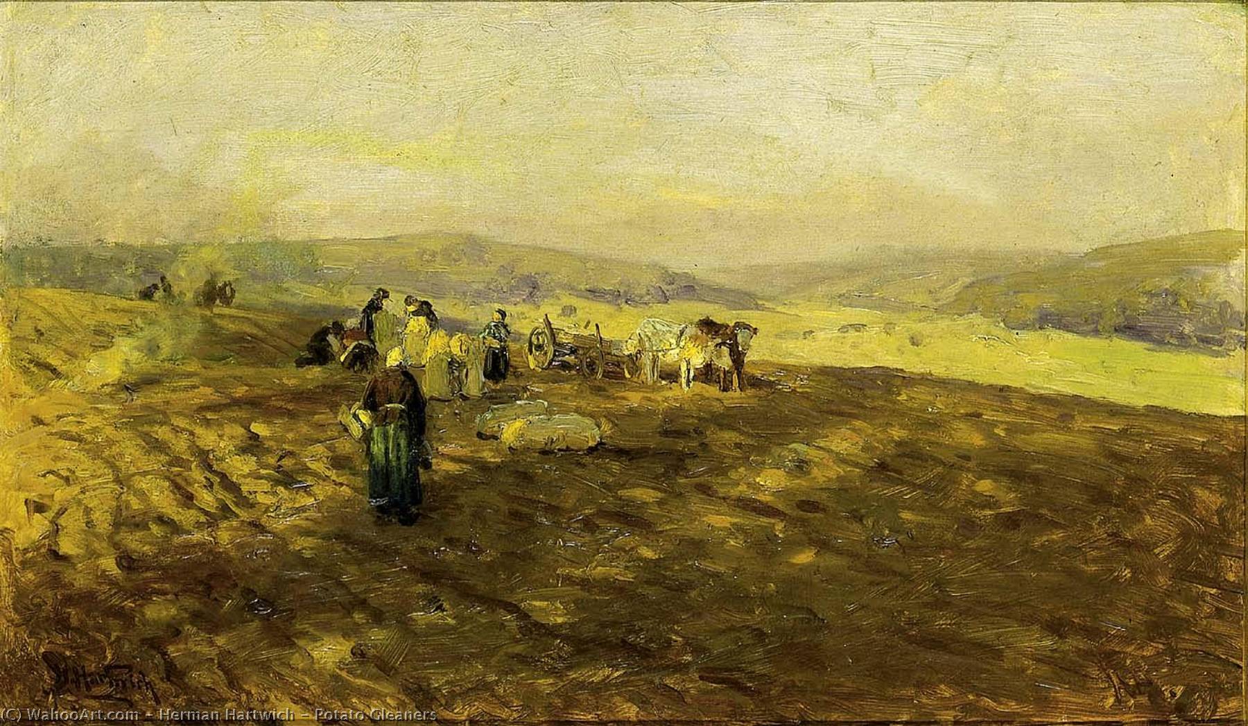 Potato Gleaners — Herman Hartwich