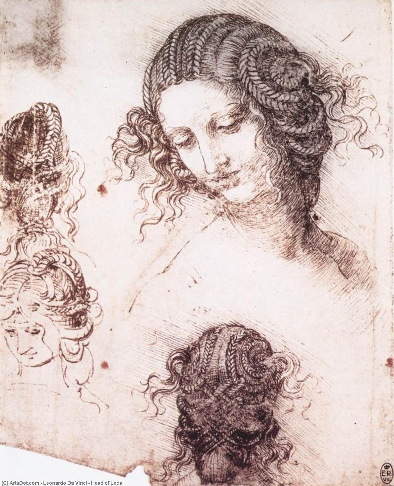 Head Of Leda — Leonardo Da Vinci