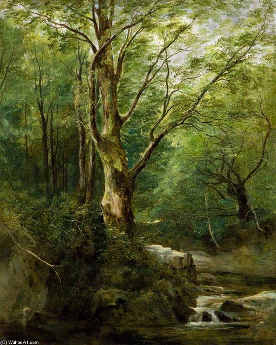 The Old Tree In The Glen – June — Andrew Nicholl