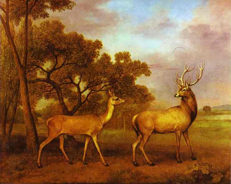 Red Deer Stag And Hind — George Stubbs