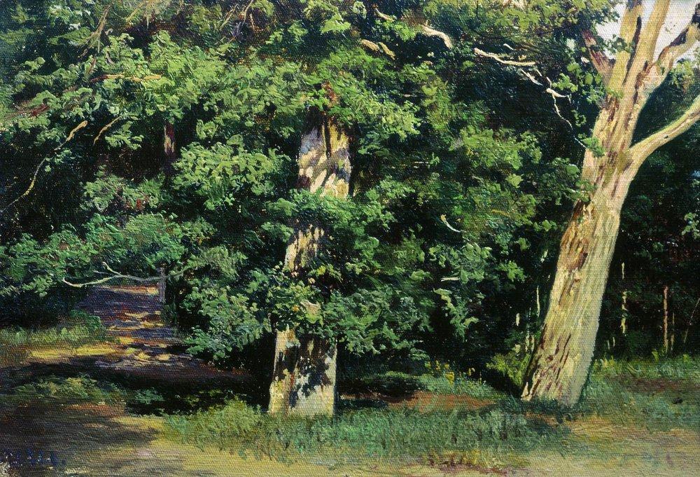 Trees — Ivan Ivanovich Shishkin