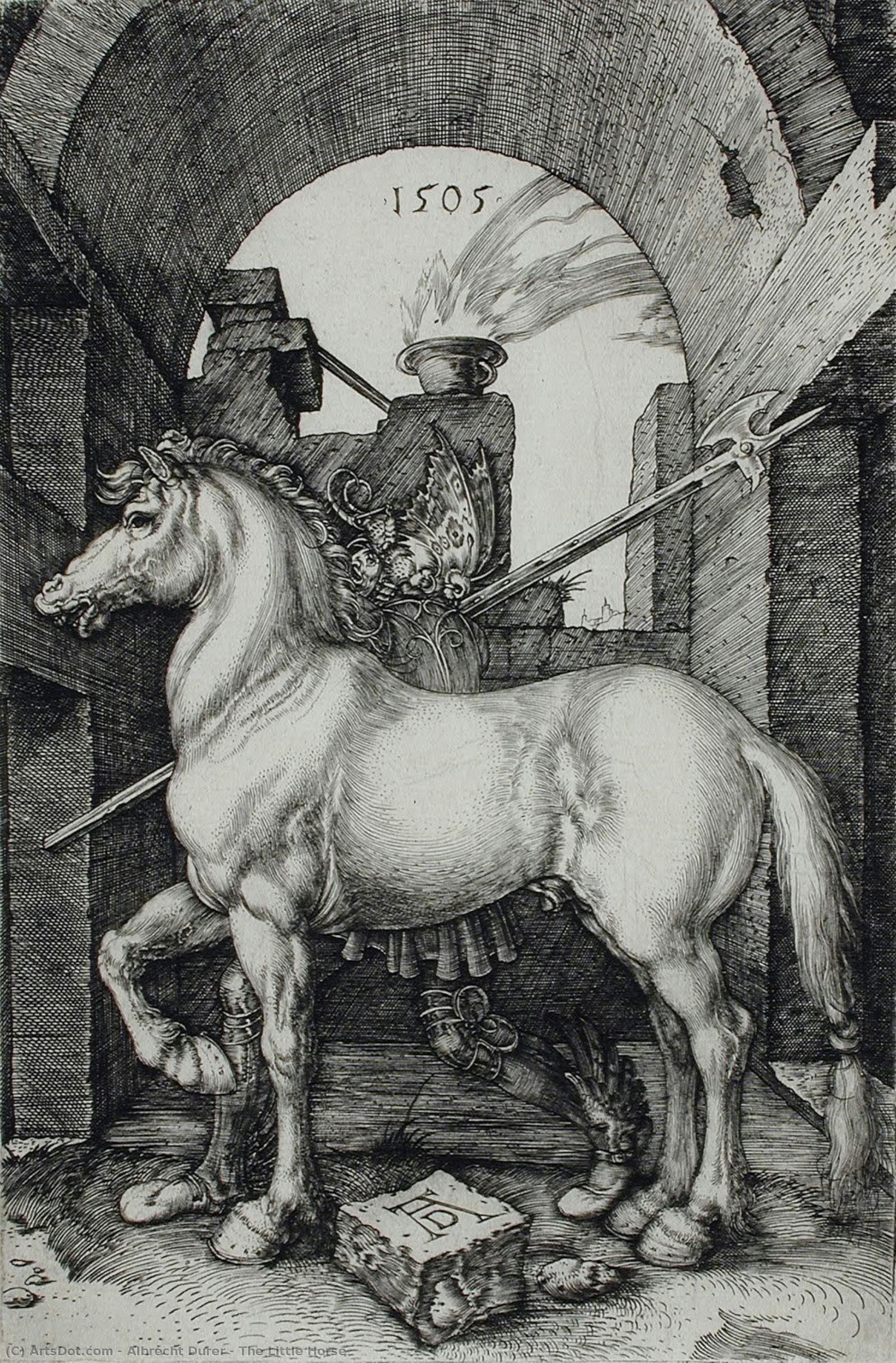 The Little Horse — Albrecht Dürer