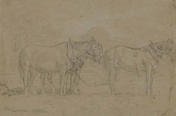 Horses Ploughing At Kempston Hardwicke — John Frederick Lewis