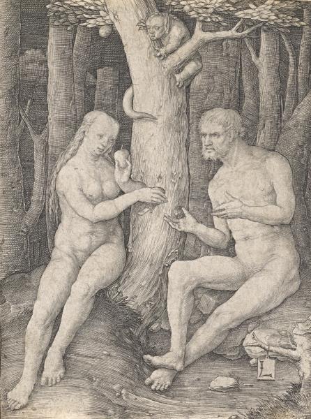 The Fall Of Man — Lucas Van Leyden