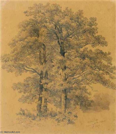 Three Trees — Robert Zund