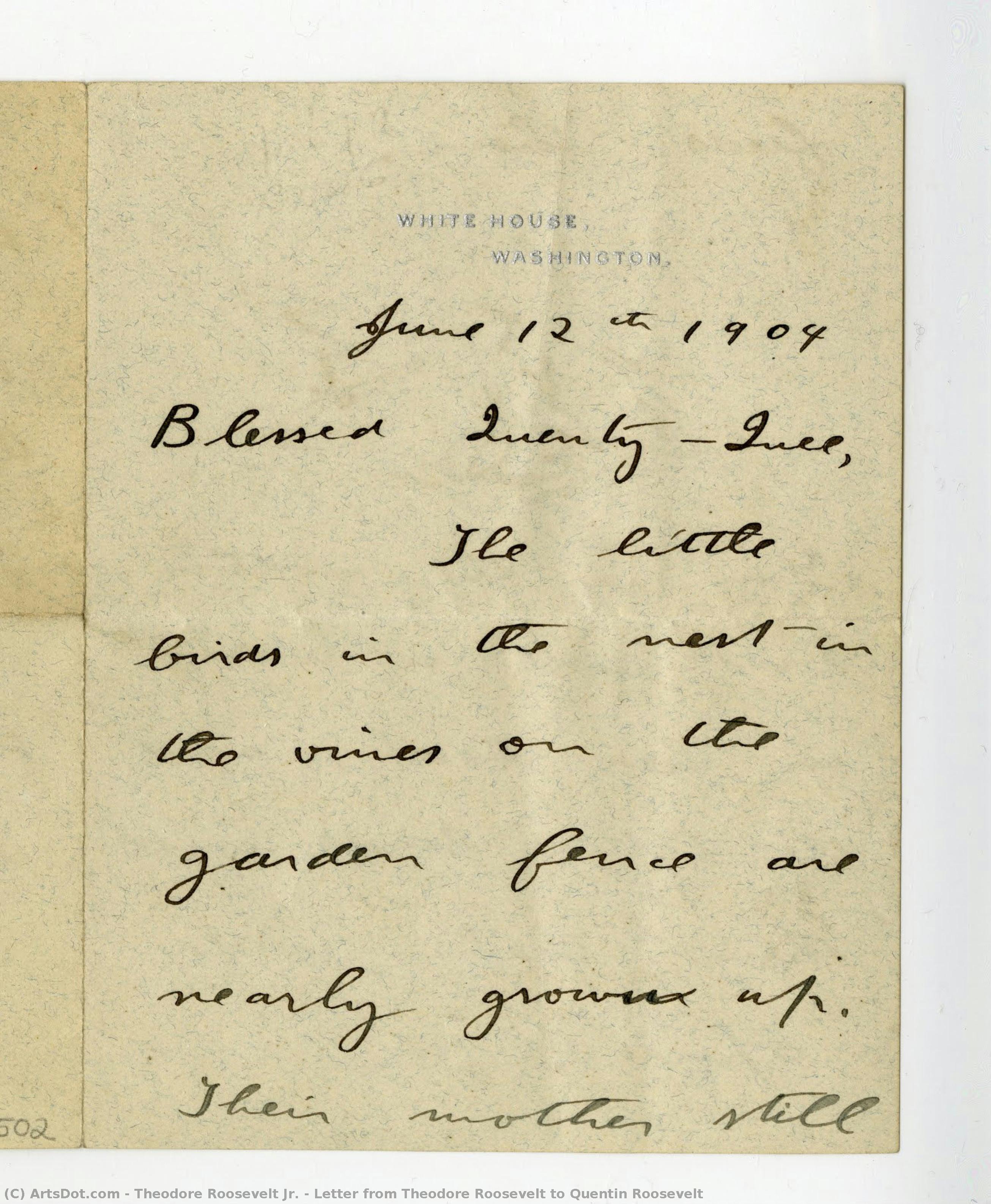 Letter From Theodore Roosevelt To Quentin Roosevelt — Theodore Roosevelt Jr.