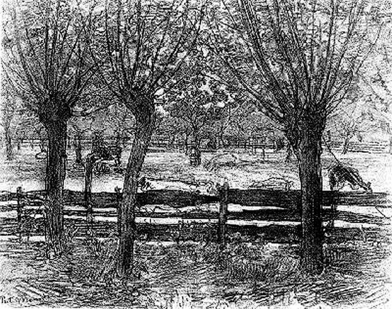 Farmyard Wiyh Cattle And Willows — Piet Mondrian