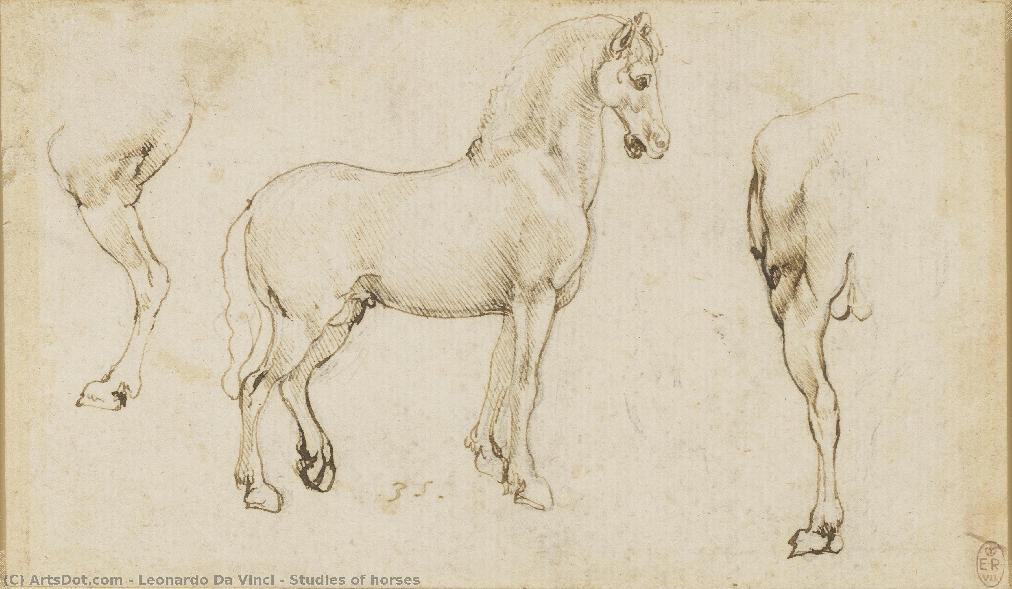 Studies Of Horses — Leonardo Da Vinci