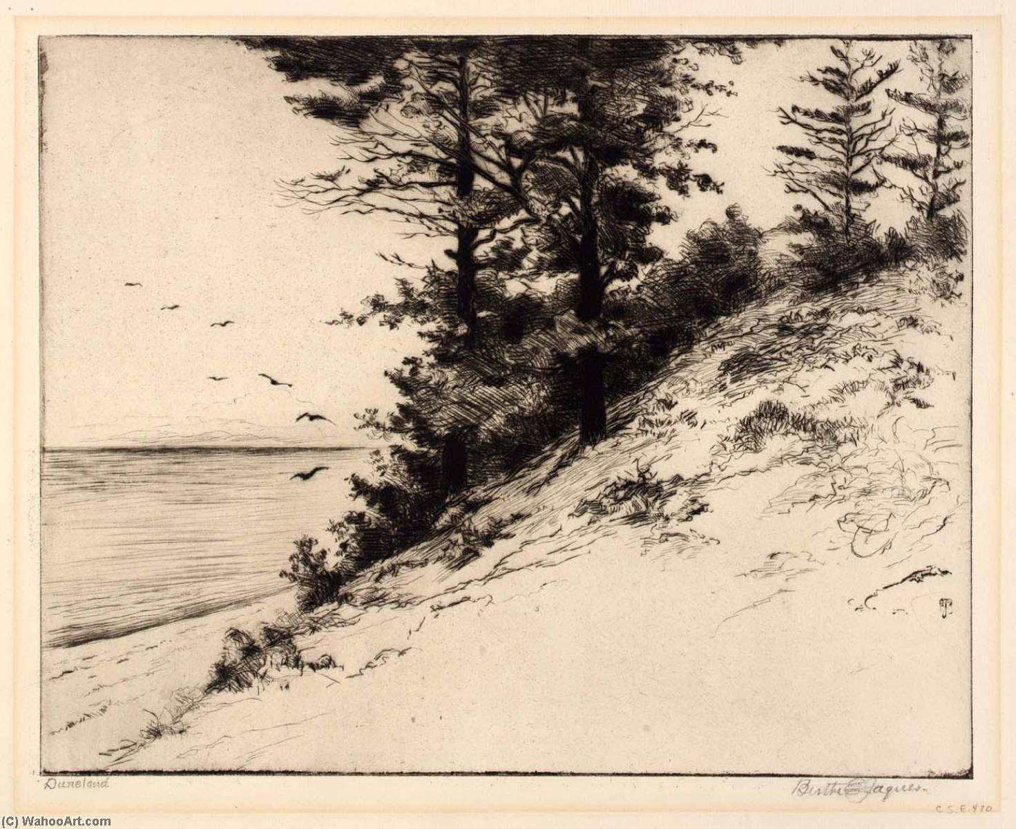 Duneland — Bertha Evelyn Jaques