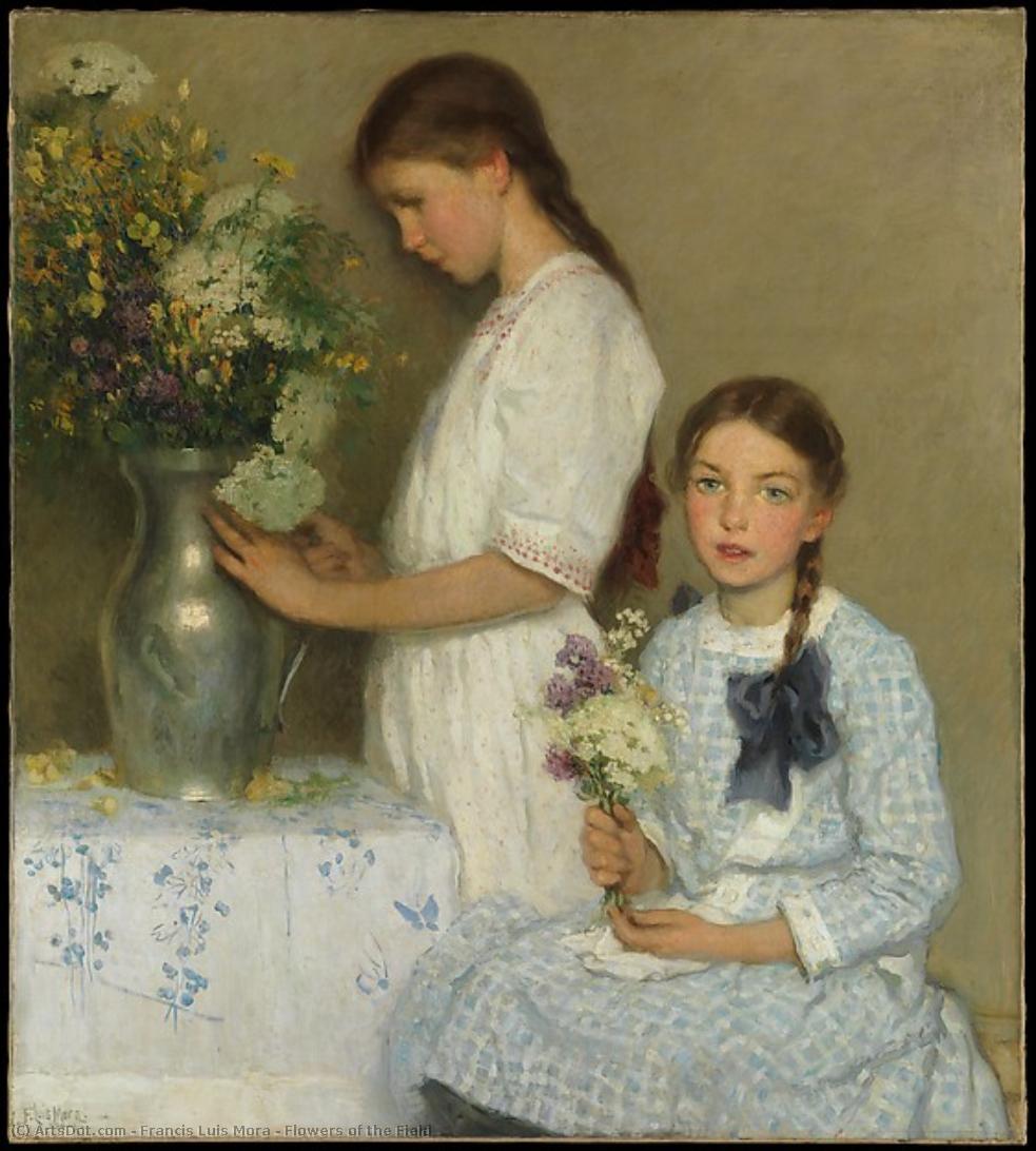 Flowers Of The Field — Francis Luis Mora