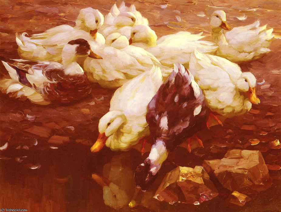 Enten Am Teich — Alexander Max Koeste