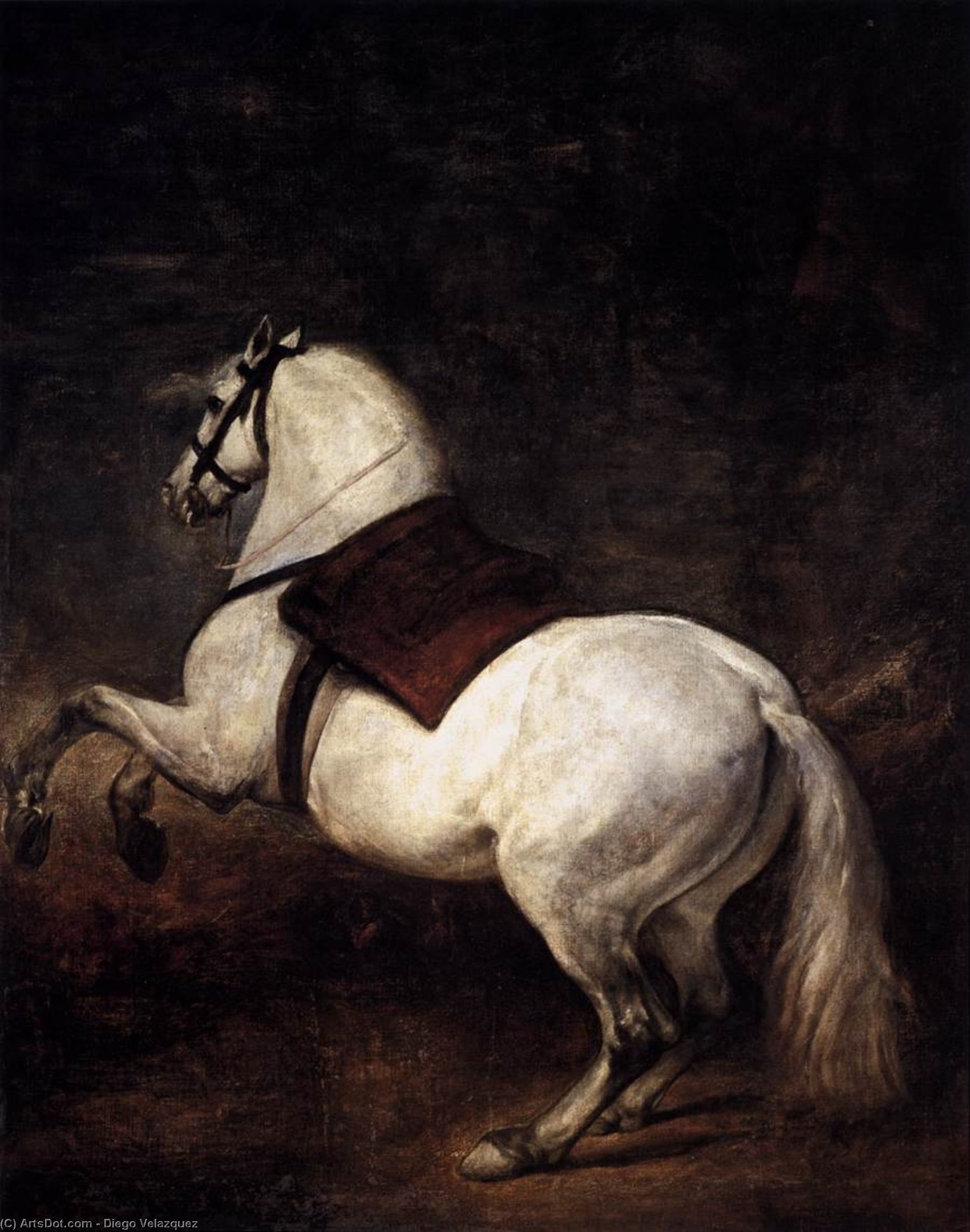 A White Horse — Diego Velázquez